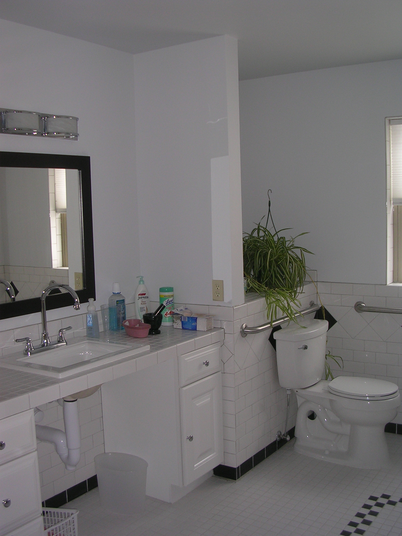 Wilson Sink-Toilet - Michigan Accessible Homes